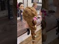 Easy Hairstyle ☘️🥀 #hairstyle #hairstylist #easystyling #hairart
