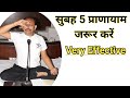 ये 5 प्राणायाम सुबह जरूर करें। 5 Most Effective Pranayamas You should practice daily in Hindi