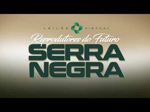 LOTE 32
