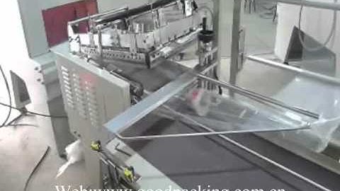 Fully-auto L Bar Sealer & Shrink Tunnel(SF-400LA+SF-4525)