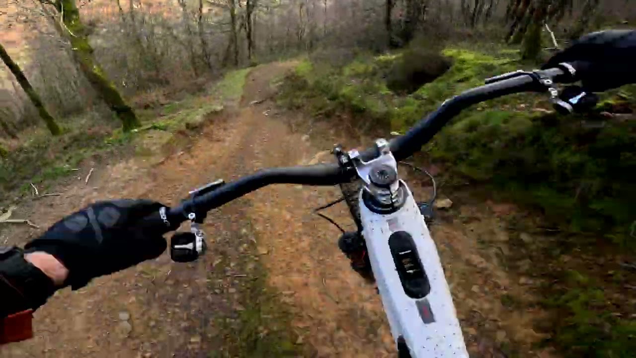 Y Mynydd Cwmcarn Downhill trail on the Nukeproof Megawatt RS Ebike