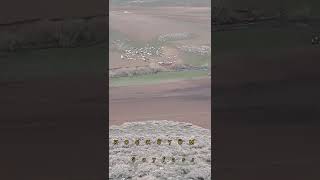 Aşık Yüksel Yıldızoğlu Sarı Seyranlı Kız