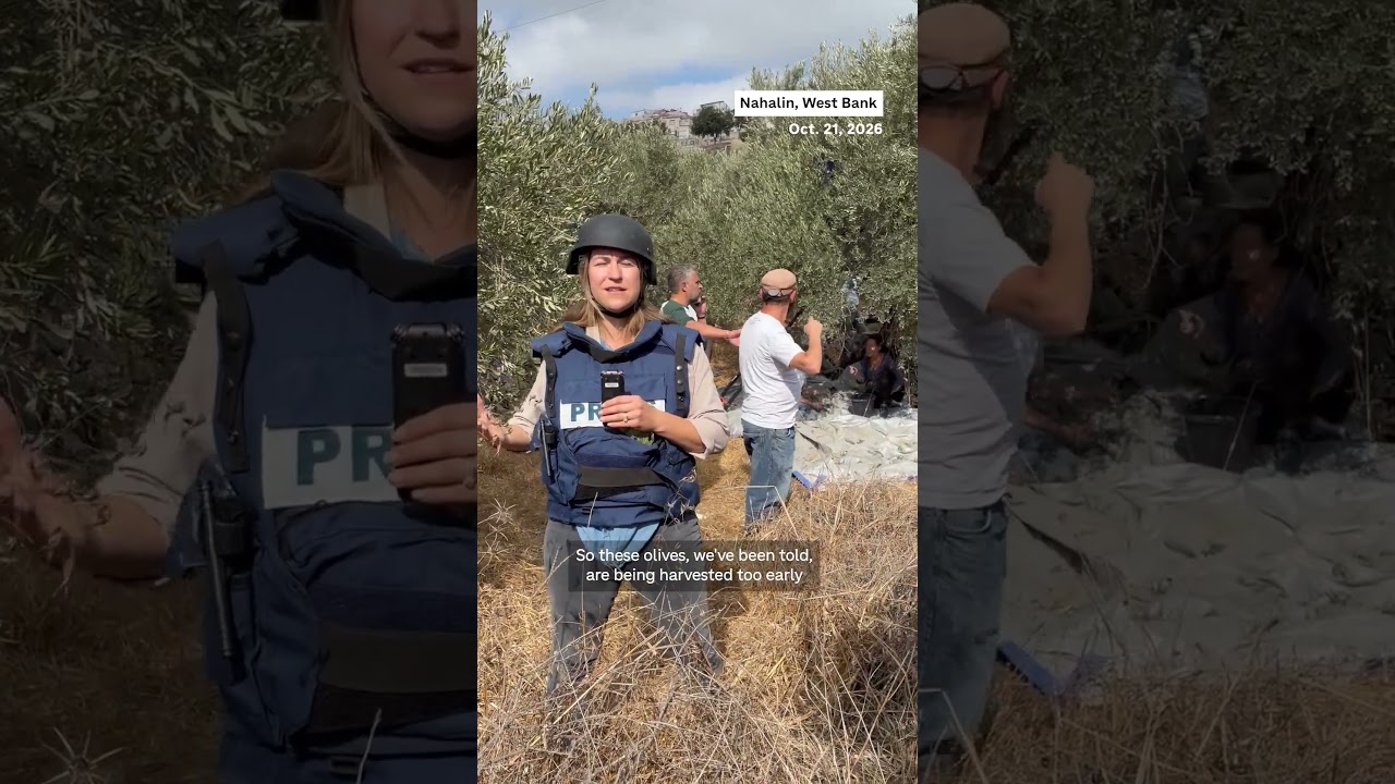Israel detains dozens of Americans, including a congressional candidate, in West Bank