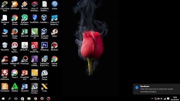 Install briker 2.0.4