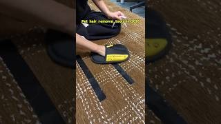 POV: you finally stopped wasting money on sticky rollers 😭🐾The mitt said 'I got you'