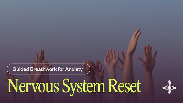 Nervous System Reset | Guided Breathwork (22 minutes)