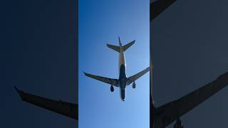 Delta Airlines Airbus A330-302 landing at John F. Kennedy Airport #delta #airbus #aviation