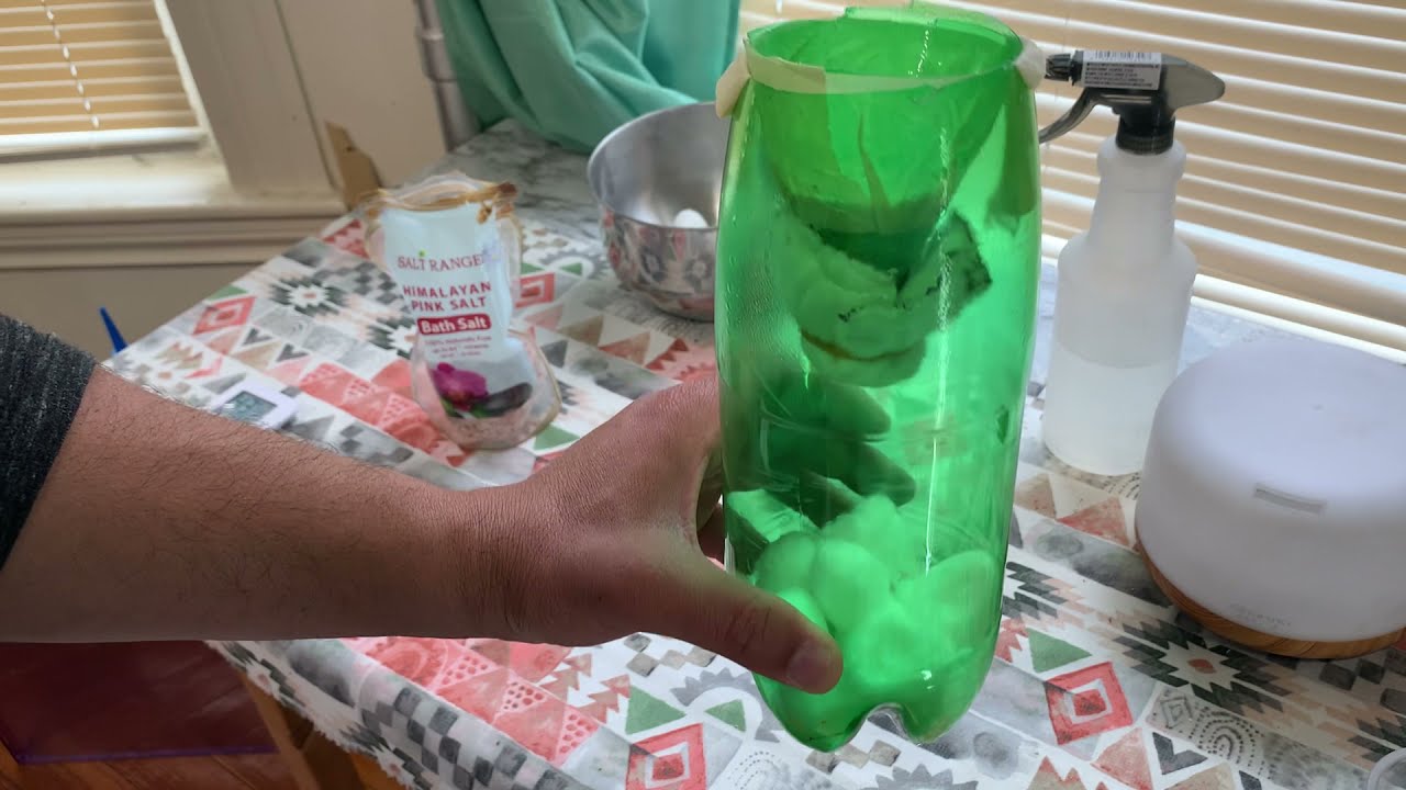 موضوع الرطوبة عند الطيور