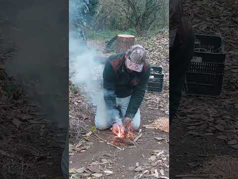Starting a Fire🔥 The Difference Between Damp Tinder and Feather Sticks🌲🪓