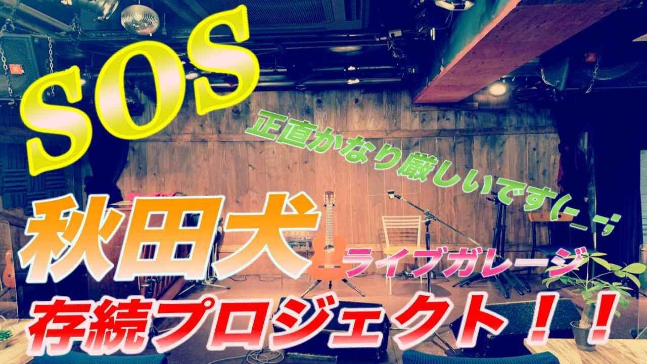 ライブガレージ 秋田犬 の存続支援プロジェクト Campfire キャンプファイヤー