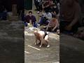 #里山 #千賀ノ浦親方 #勧進大相撲 #ob戦