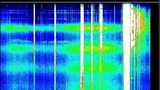 Monday 08/03/26 3:33pm eastern Schumann Resonance 