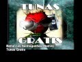 PARODIA BAILAN ROCHAS Y CHETAS-BAILAN LAS SANTIAGUEÑAS-TUNAS GRATIS