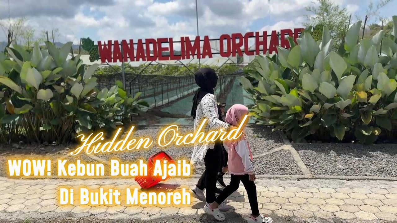 “WOW! Kebun Buah Ajaib di Bukit Menoreh 🌳🍎 Belajar & Bermain di Wanadelima Orchard!”