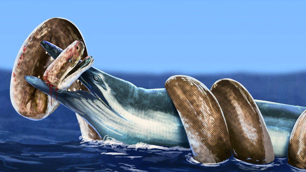 Als die Erde das letzte mal Eisfrei war