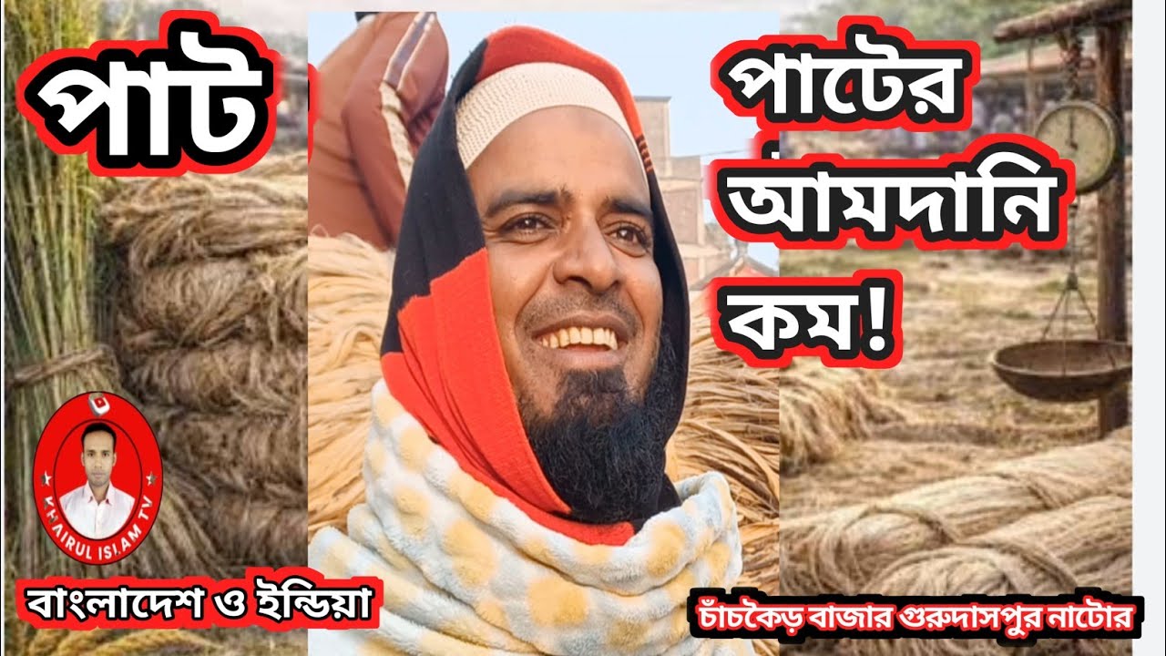 আজকের পাটের দাম ও বাজার খবর ২৮-০২-২০২৬ | চাঁচকৈড় বাজার গুরুদাসপুর নাটোর | লাইভ আপডেট