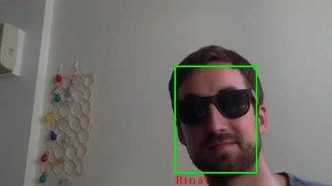 Facial Recognition Test with FaceNet