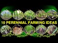 10 perennial ideas you can plant once and harvest for years  2024  vegetable  grass  herbs