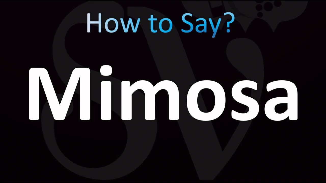 How to Pronounce Mimosa (CORRECTLY!)