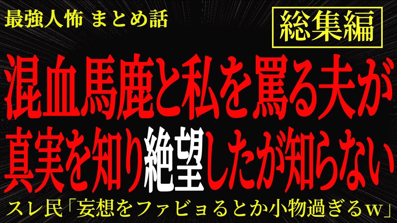 【総集編】【2chヒトコワ】混血馬鹿と私を罵る夫が真実を知り絶望したが知らない【作業用】【睡眠用】