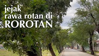 jejak rawa rotan di ROROTAN