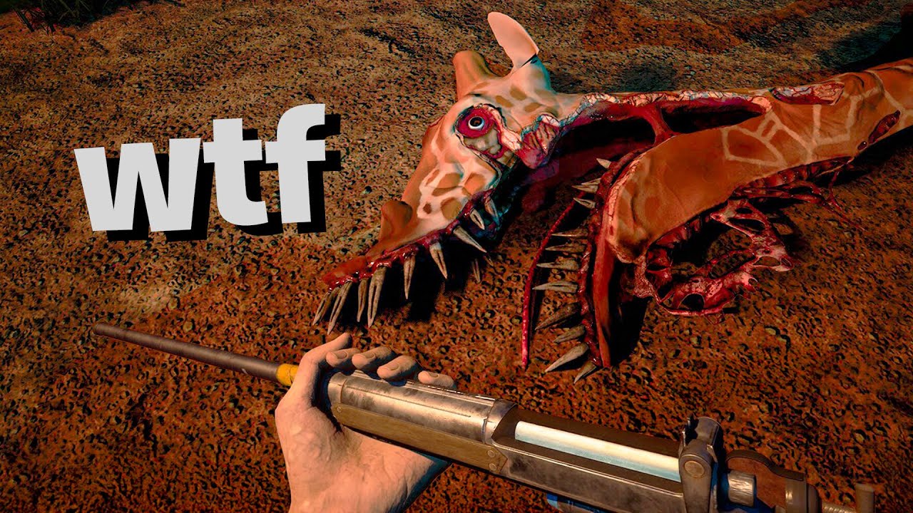 QUÉ LE PASÓ A LOS ANIMALES? | Zoochosis