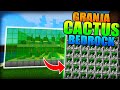 GRANJA de CACTUS para MINECRAFT BEDROCK!!!