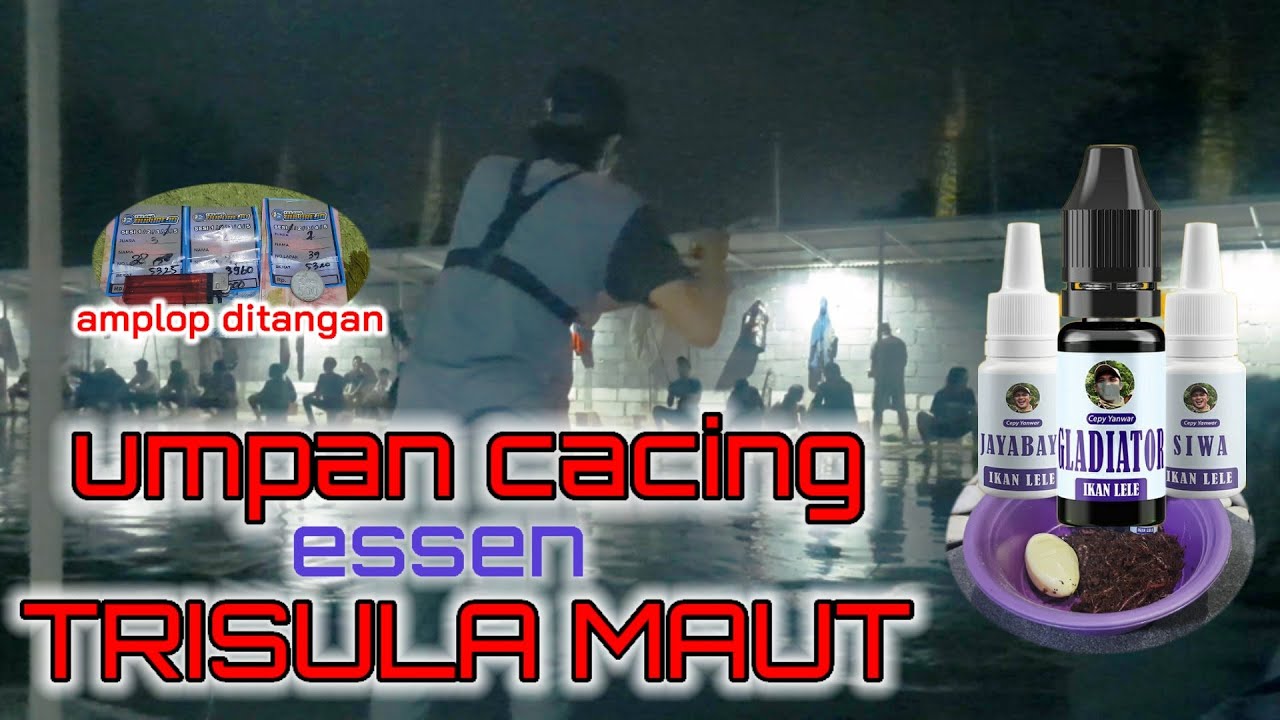 UMPAN GALATAMA LELE SIMPEL CACING TIGER TRISULA MAUT || by cepy mancing mania