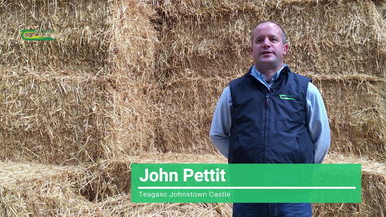 P and K for Winter Cereals