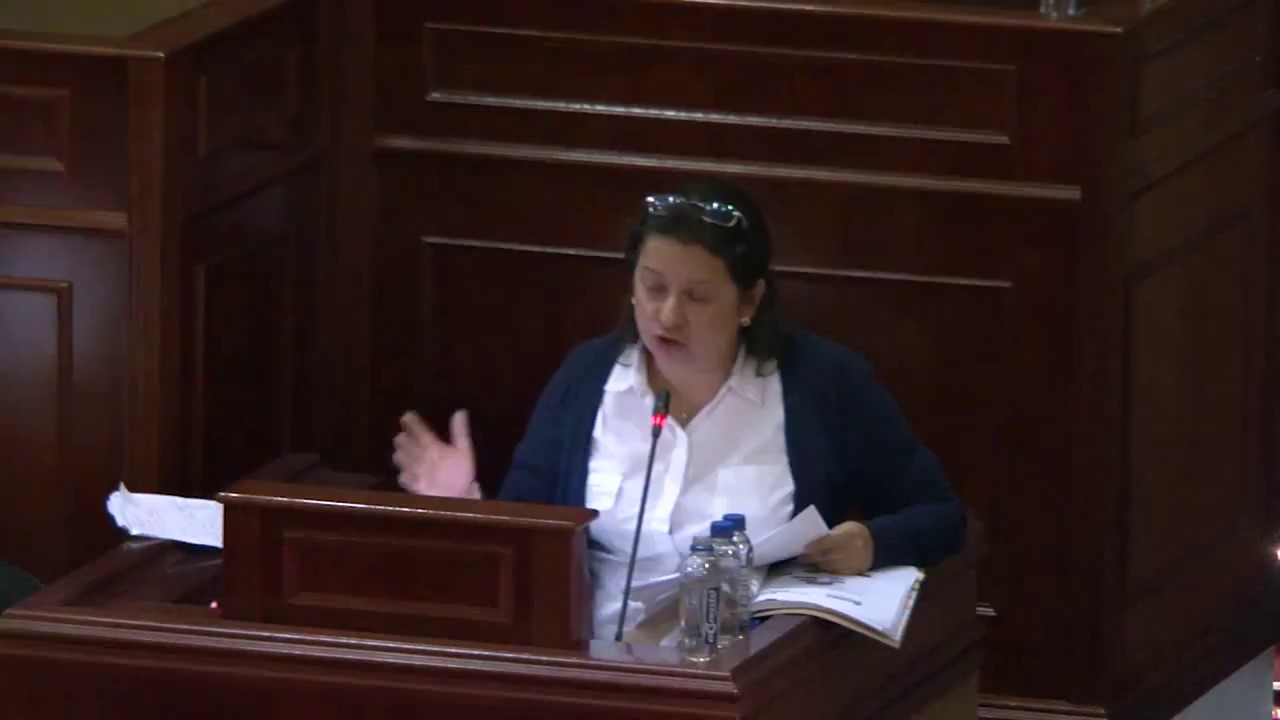 Viceministra Carmen Eugenia Dávila, en debate de control político en la Cámara de Representantes