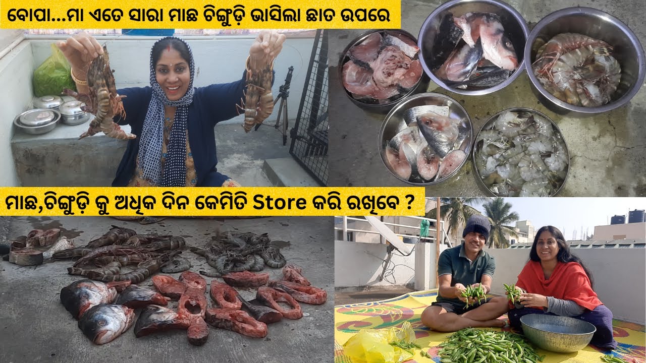 ବୋପା...ମା ଏତେ ସାରା🐟 ମାଛ🦐ଚିଙ୍ଗୁଡ଼ି ଭାସିଲା ଛାତ ଉପରେ‼️ ମାଛ,ଚିଙ୍ଗୁଡ଼ି କୁ ଅଧିକ ଦିନ କେମିତି Store କରି ରଖିବେ