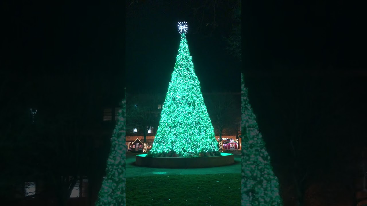 Central Park Christmas Tree 2020 YouTube