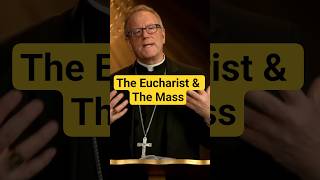 The Eucharist &amp; The Mass - Bishop Barron explains #faith #love #life #shorts #jesus #prayer #day
