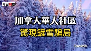 寒冬驚魂！ 華人社區驚現鏟雪騙局！ 集體警報 損失慘重 今日熱搜 多倫多生活