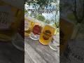 Inside Ivanhoe Park Brewing Company 🍺 | One of Orlando’s Best Local Breweries