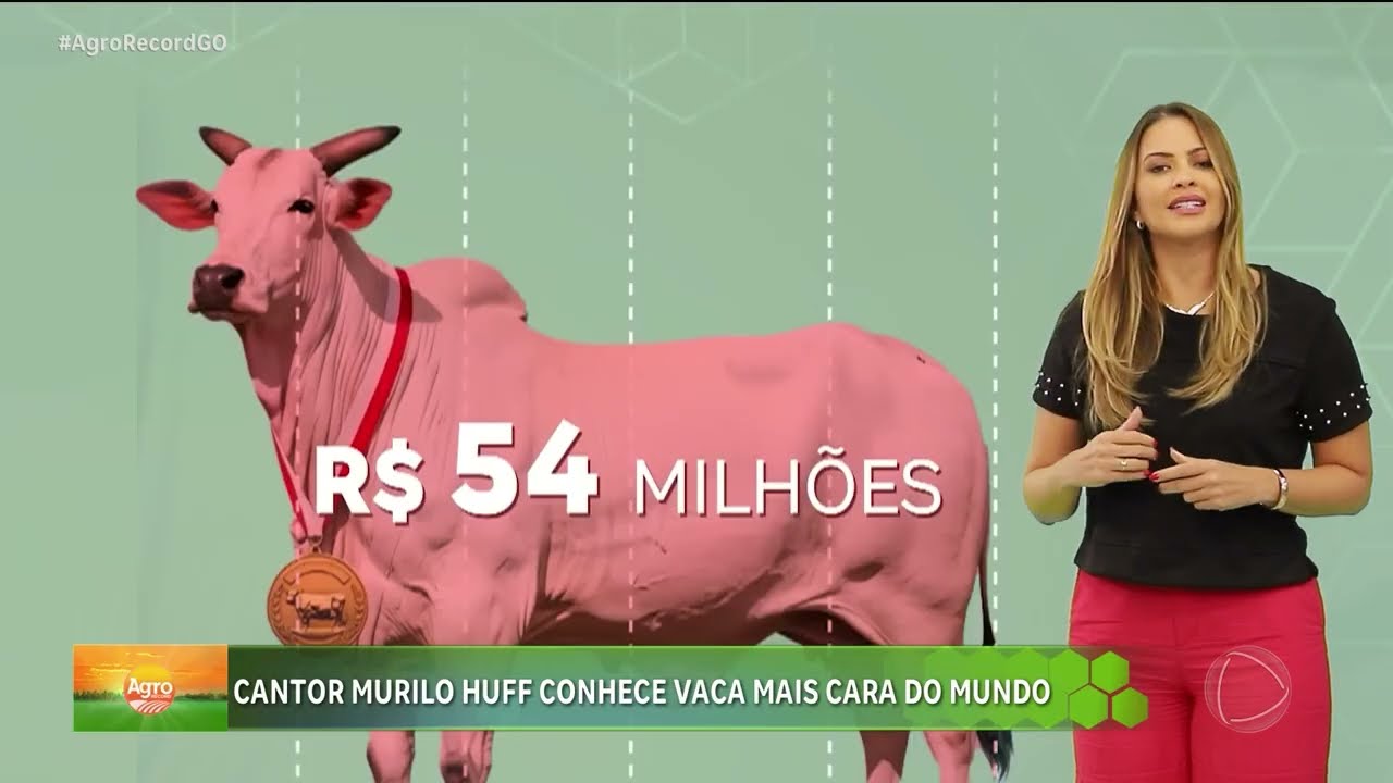 Agro Record 15/02/2026 - Programa Completo