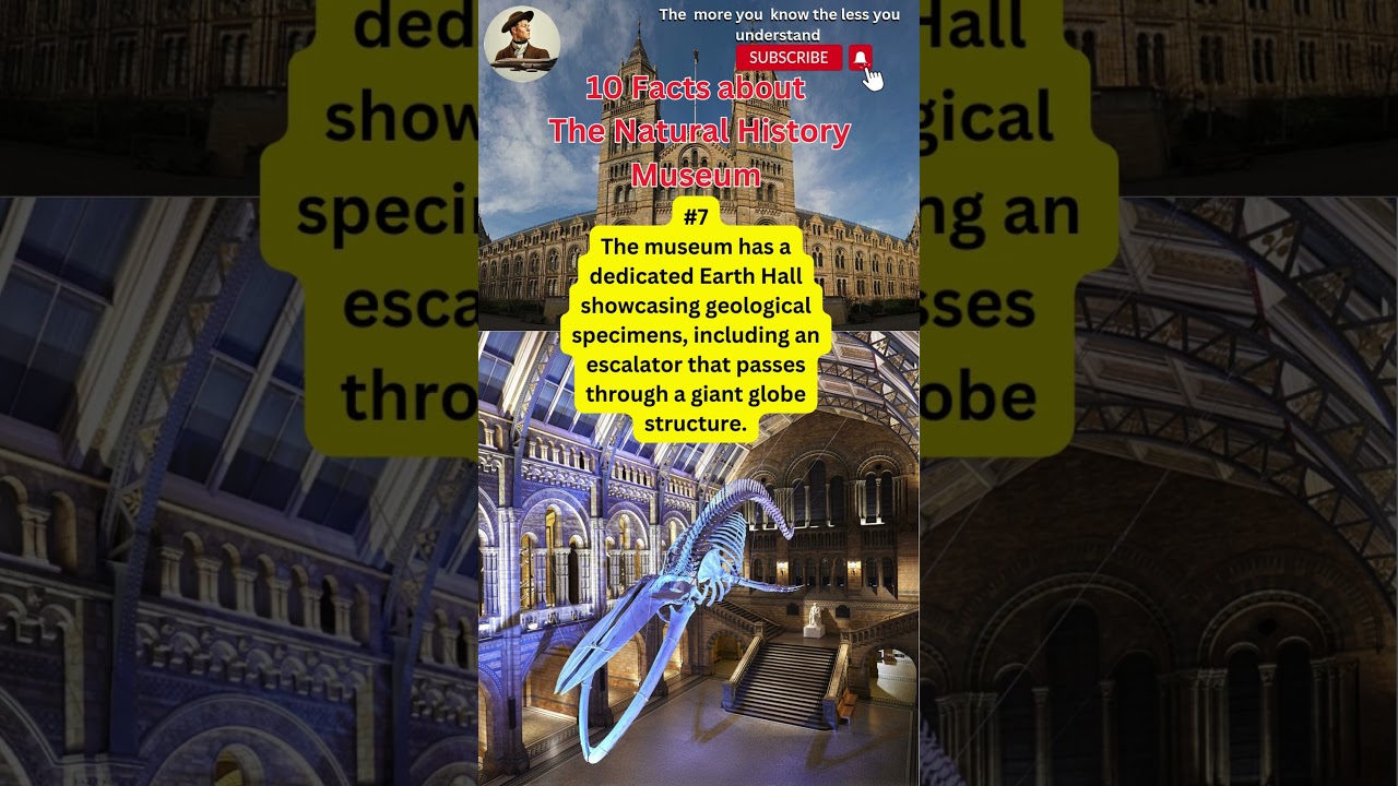 10 Facts About The Natural History Museum 