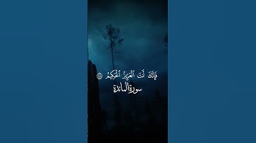 تلاوة خاشعة✨❤️#القران_الكريم #تلاوة_خاشعة #المسجد_الحرام #ياسر_الدوسري