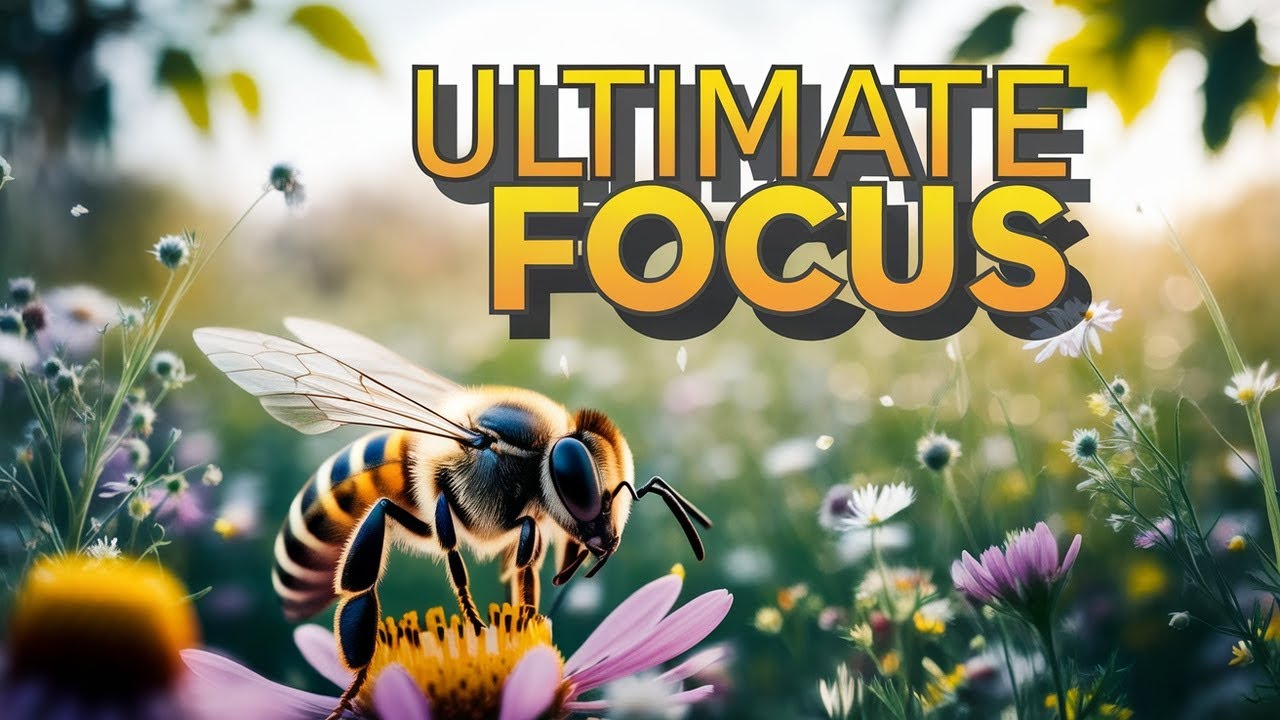 Focused as a Bee: Unraveling the Secrets of Ultimate Focus - YouTube