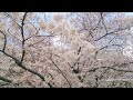彼の本心とあなたに求めていること。