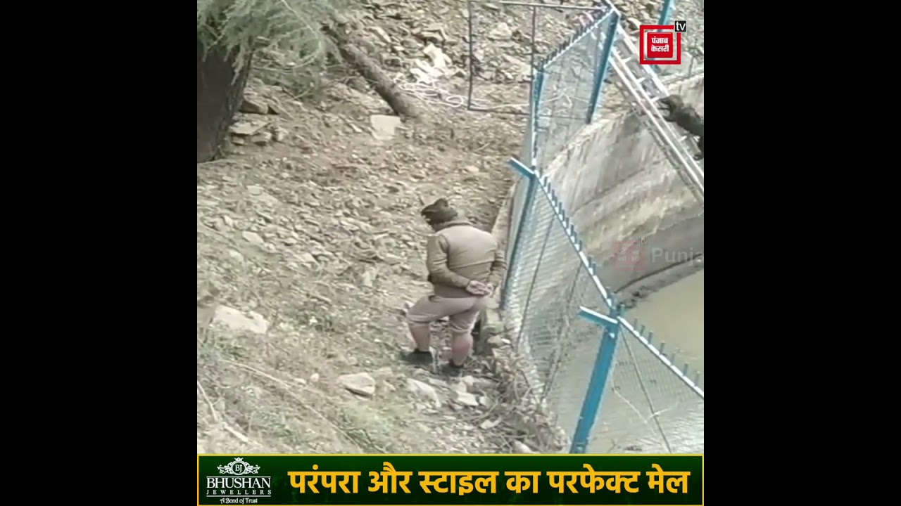 पानी के टैंक में गिर गए थे कुत्ते---देखें फायर ब्रिगडे  की सीढ़ी  से कैसे निकले बाहर, वीडियो हुआ