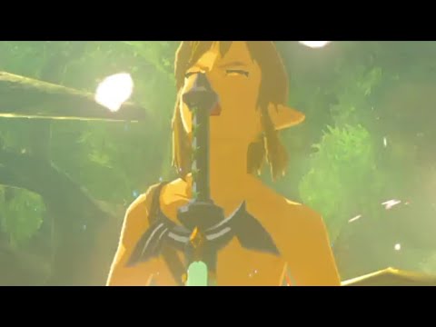 【ブレワイ(BotW)】マスターソードを抜く時に遊んでみた【ドリカラ】