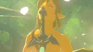 【ブレワイ(BotW)】マスターソードを抜く時に遊んでみた【ドリカラ】