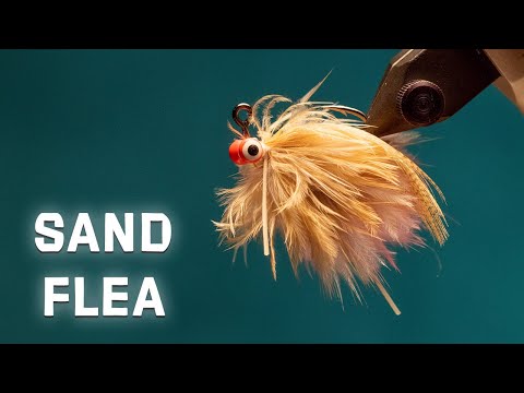 Sand Flea Fly Pattern, Popovic's Deadliest