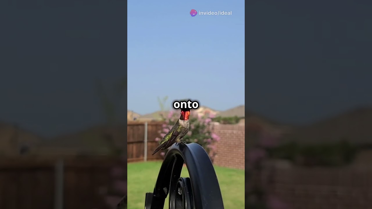 Get the Best Fence Installed in New Orleans