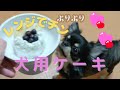 男性も作れる犬用ケーキ！ ブラックタンチワワの麦#チワワ#犬用ケーキ#クリスマスケーキ