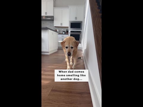When you come