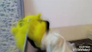 Helo Plush Crach And Shrek