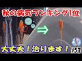 秋のめだか病気ランキング１位！【水カビ病は早期発見で完治します】＃５７ ～美心めだか～