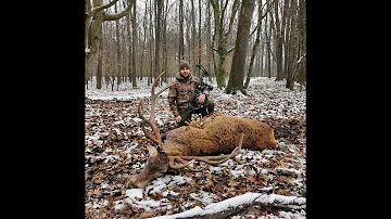 Welche Pfeile für die Jagd?